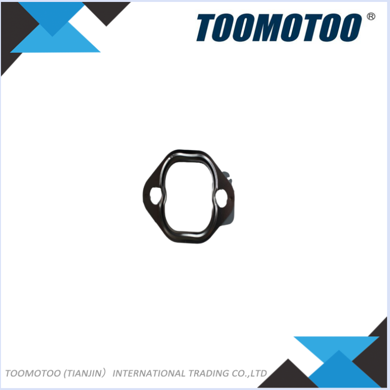 OEM&Alt Quality Forklift Spare Parts Hyster 1539273 Manifold Gasket (Electric Diesel)