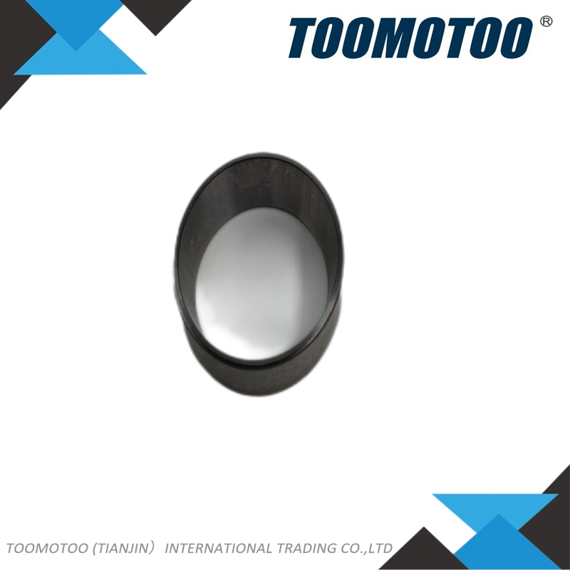 OEM&Alt Quality Forklift Spare Parts Hyster 317075 Tapered Roller Bearing (Electric Diesel)