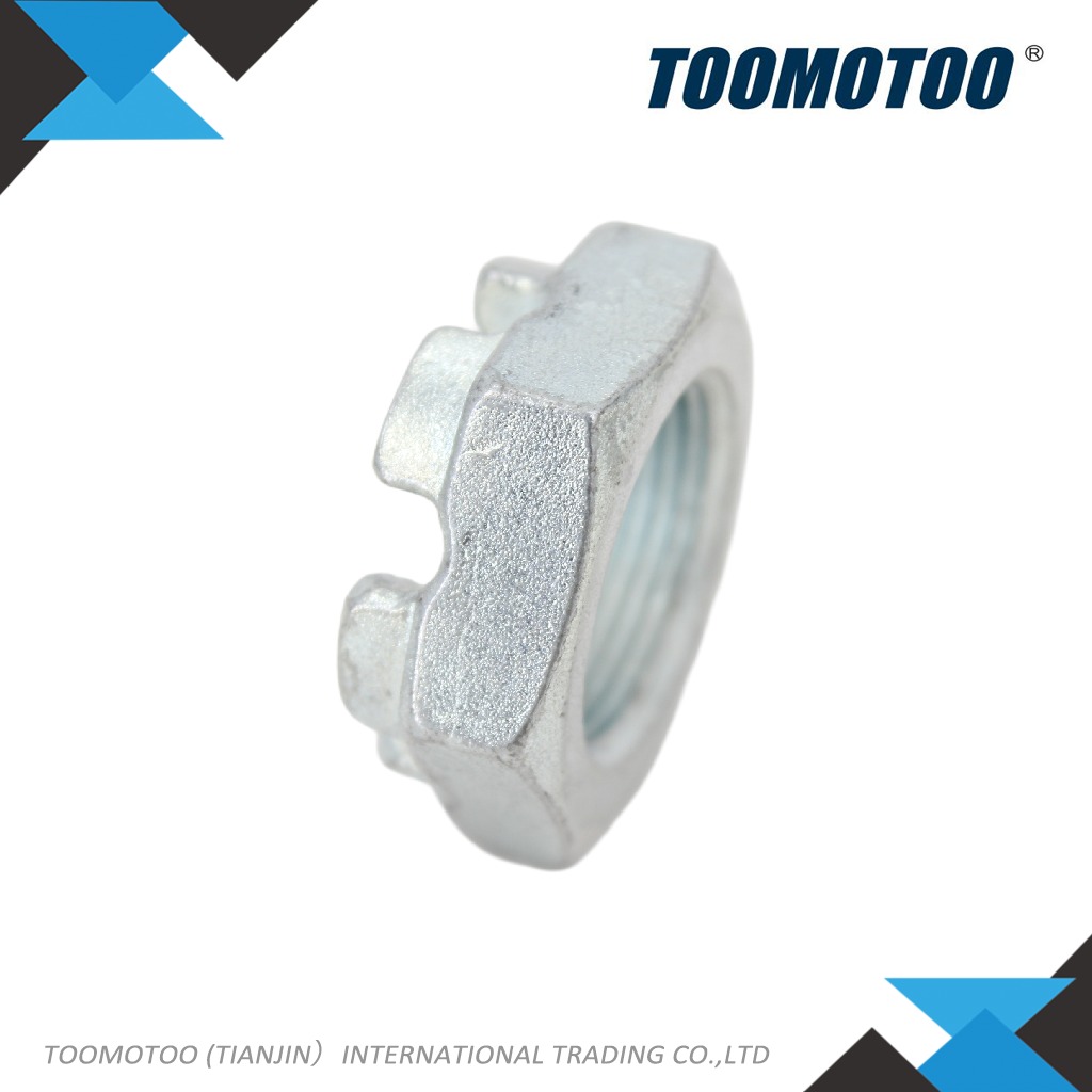 OEM&Alt Quality Forklift Spare Part Totalsource 4087051 Castellated Nut (Electric Diesel)